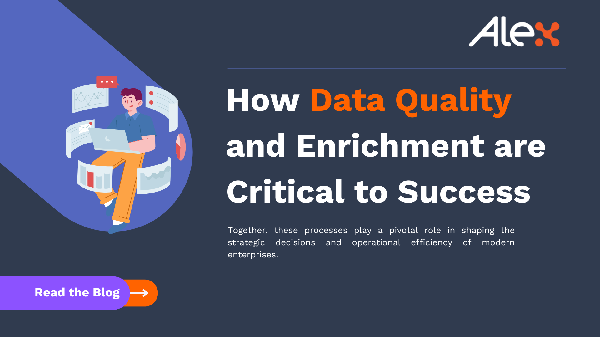 Data Quality and Enrichment