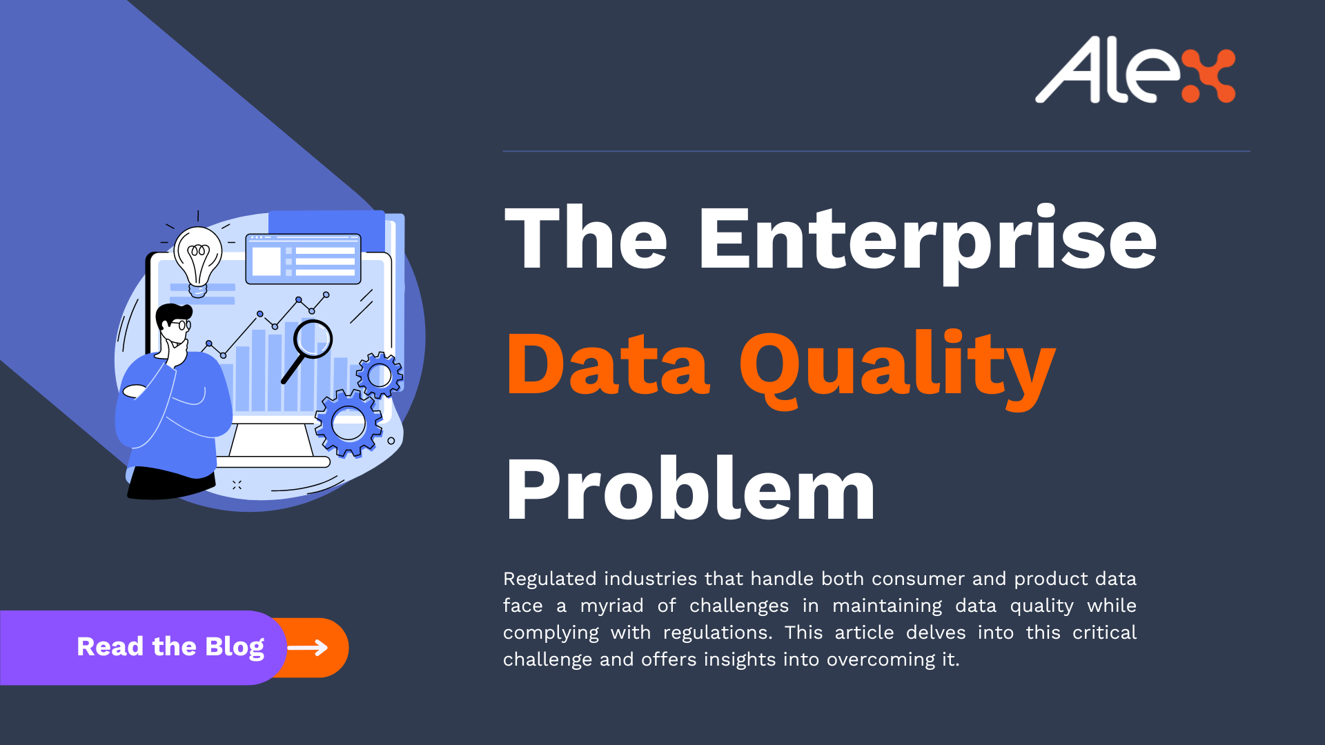 Data Quality and Enrichment